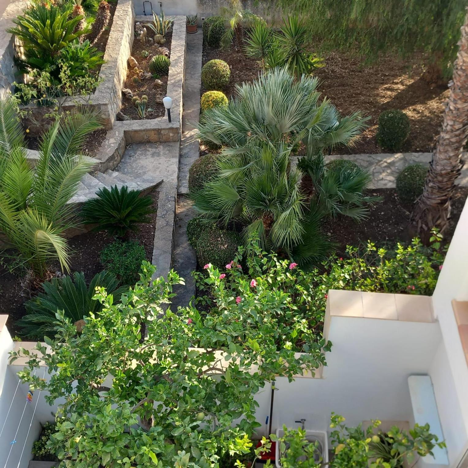 Bed & Breakfast Val Di Erice Valderice Buitenkant foto